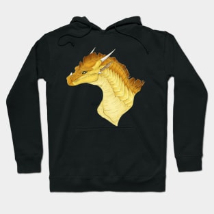 Sunny Head Shot Hoodie